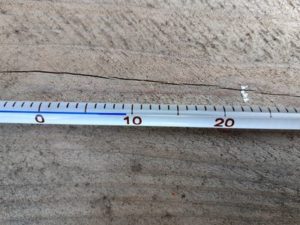 仮設トイレ　室温